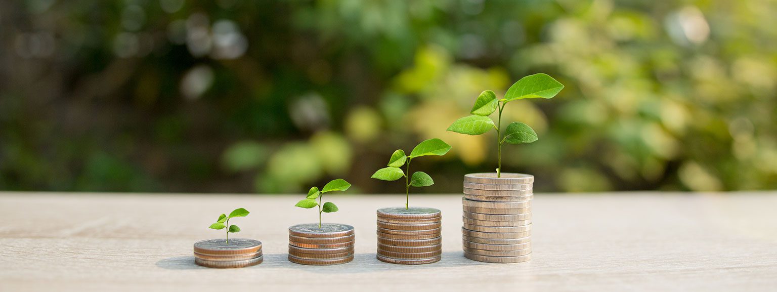 découvrez l'écoresponsabilité, un engagement crucial pour la protection de notre planète. apprenez comment adopter des pratiques durables et minimiser votre impact environnemental au quotidien.