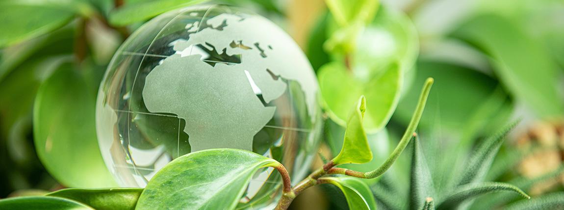 découvrez comment adopter une démarche écoresponsable au quotidien. apprenez à réduire votre impact environnemental, à privilégier des pratiques durables et à contribuer à un avenir plus vert pour les générations futures.