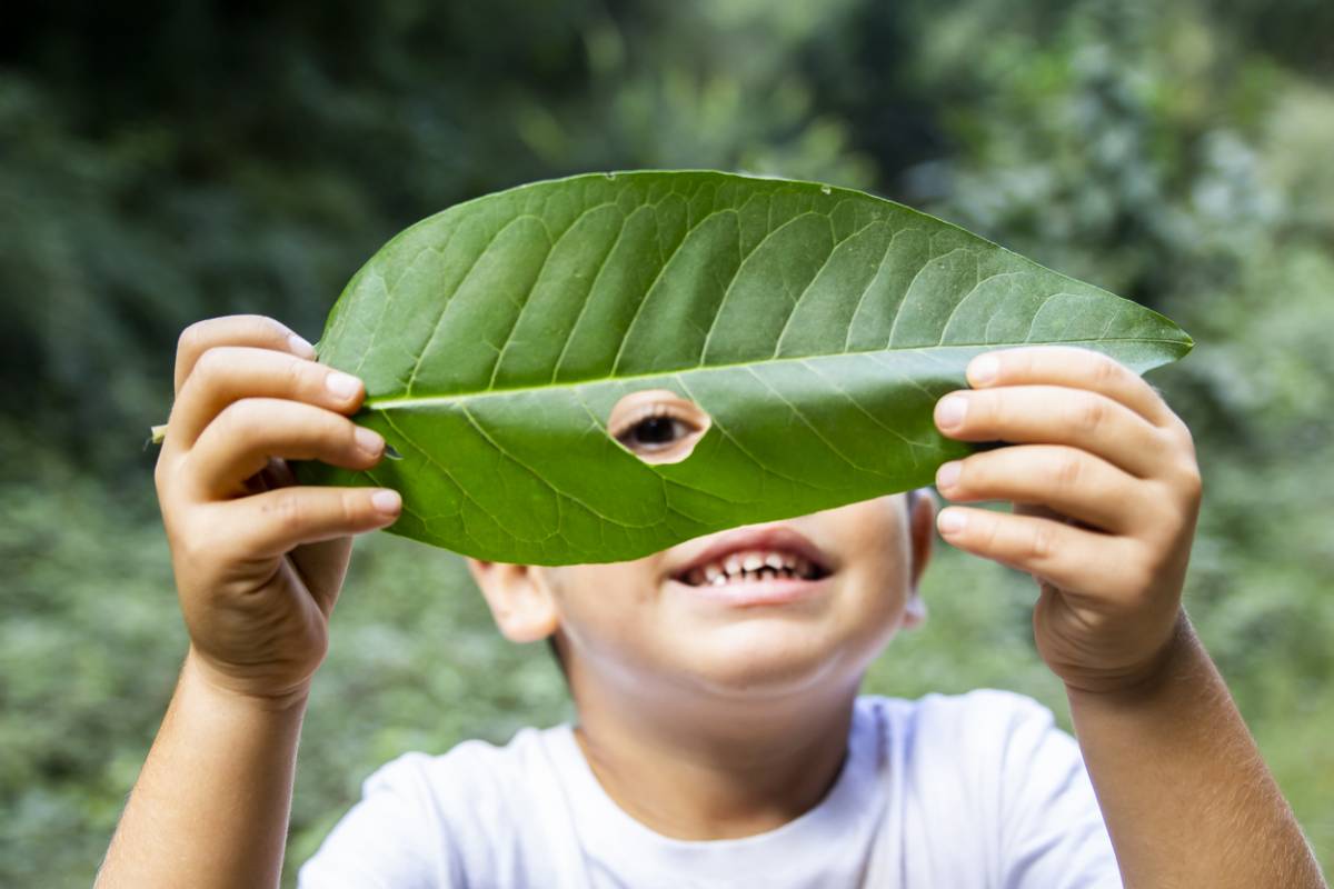 découvrez comment l'éducation écologique transforme notre manière de penser et d'agir face aux défis environnementaux. explorez des stratégies et des ressources pour sensibiliser aux enjeux de durabilité et promouvoir un avenir respectueux de la planète.