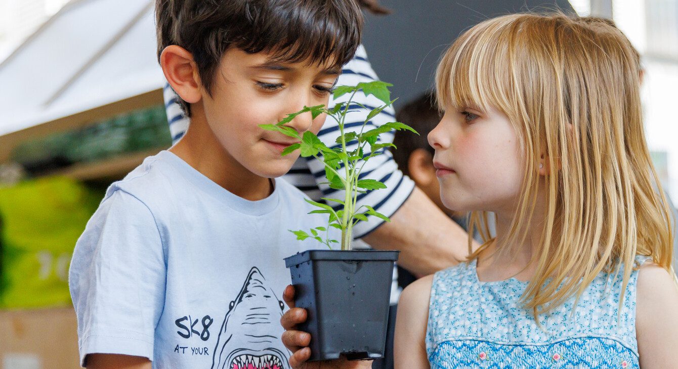 découvrez l'éducation écologique, une approche qui sensibilise les jeunes aux enjeux environnementaux, favorise des comportements durables et encourage l'harmonie avec la nature. apprenez comment intégrer cette pédagogie dans votre quotidien pour un avenir plus vert.