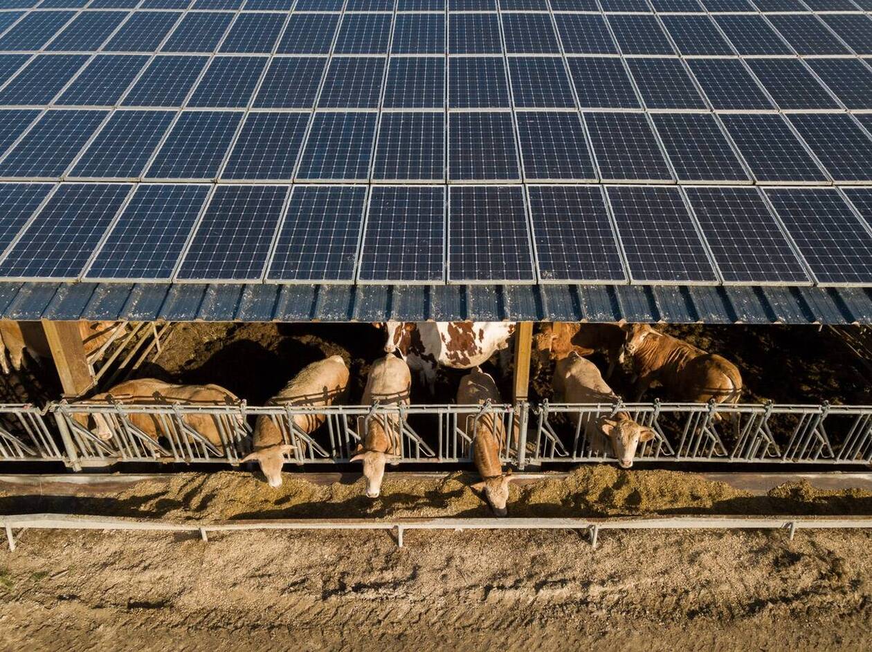 découvrez l'importance de choisir le bon emplacement pour un hangar photovoltaïque. maximisez votre production d'énergie solaire grâce à des conseils d'experts sur l'orientation, l'inclinaison et l'environnement du site.