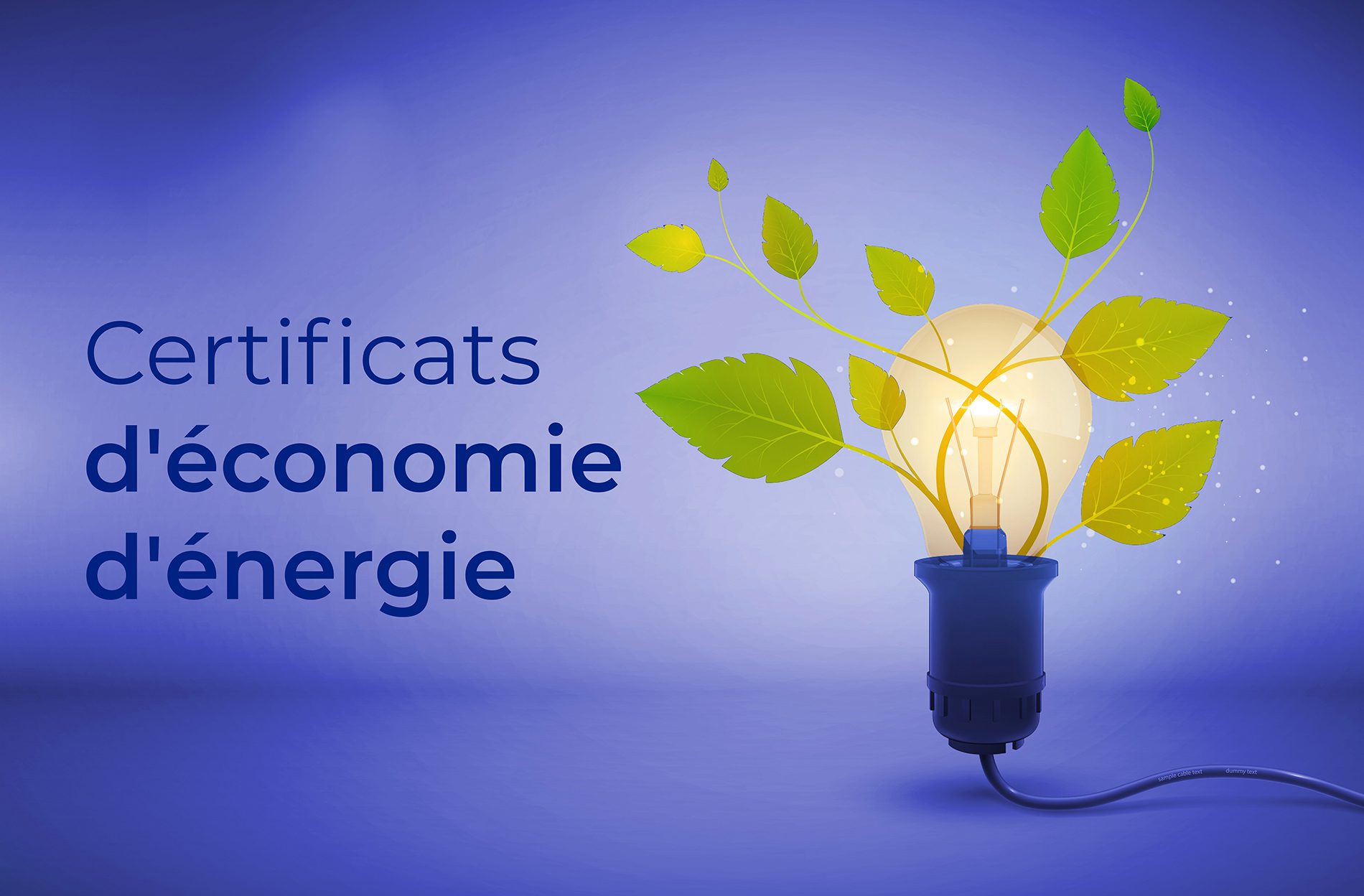 découvrez comment optimiser votre consommation d'énergie et réduire vos coûts grâce à des solutions économiques. apprenez à adopter des pratiques durables pour un avenir énergétique rentable et respectueux de l'environnement.