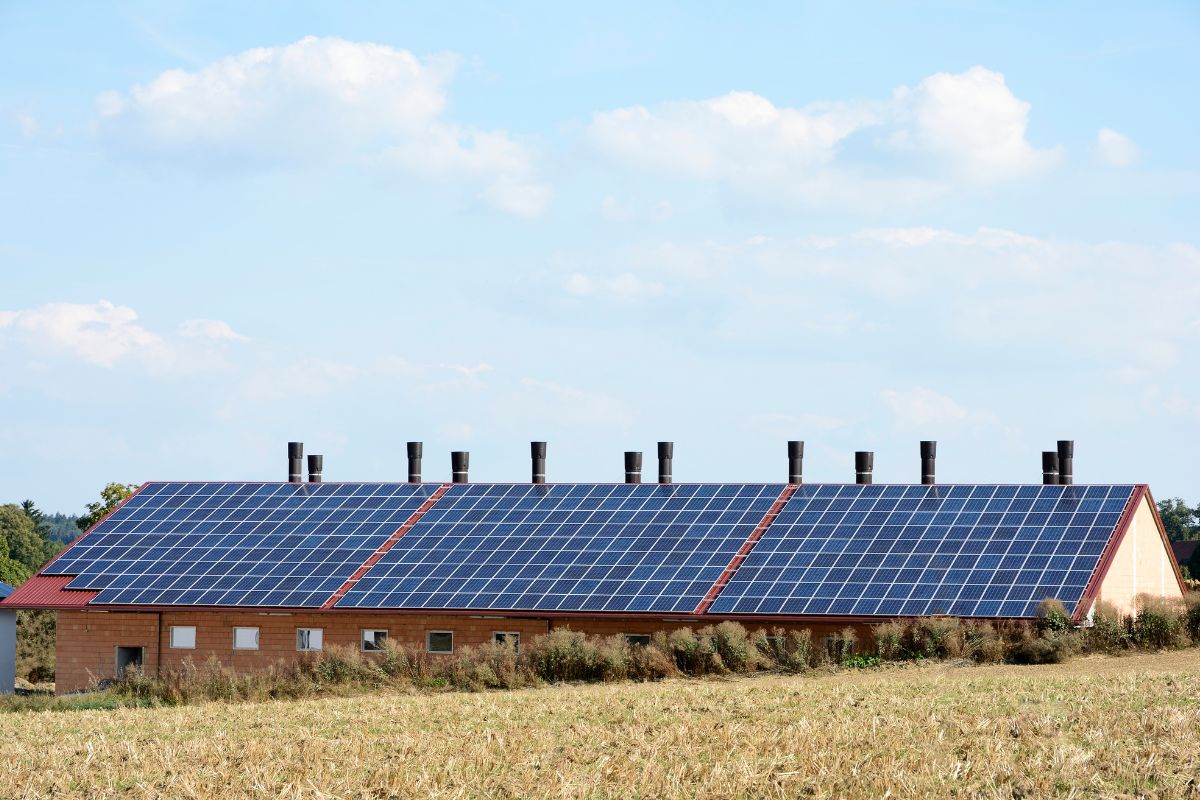 découvrez comment un hangar photovoltaïque peut transformer votre consommation d'énergie en exploitant la puissance du soleil. optimisez vos espaces tout en réduisant vos factures et en contribuant à une énergie durable grâce à des solutions innovantes et efficaces.