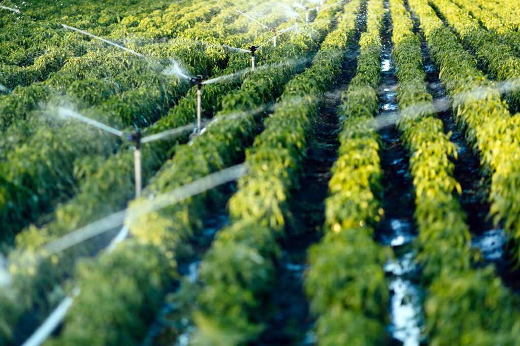 découvrez comment l'énergie solaire agricole durable révolutionne l'agriculture en offrant des solutions écologiques et économiques pour les exploitants. optimisez vos ressources et contribuez à un avenir plus vert grâce aux technologies solaires adaptées aux besoins des agriculteurs.