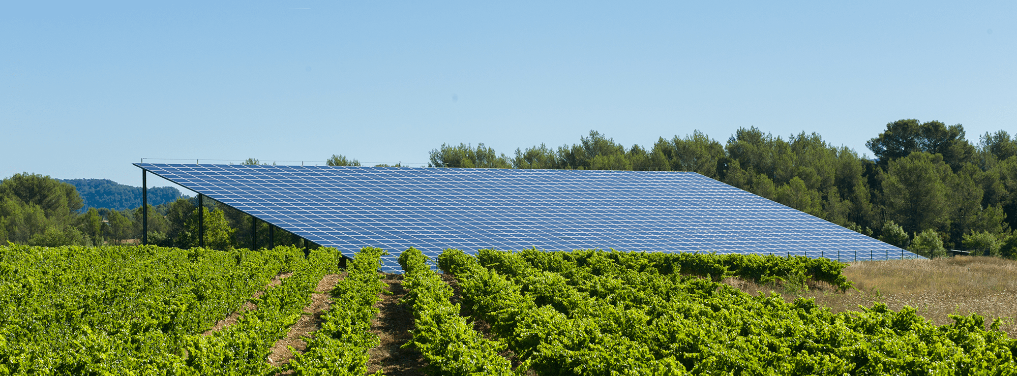 découvrez comment les énergies renouvelables transforment l'agriculture durable en optimisant les ressources naturelles, réduisant l'empreinte carbone et favorisant une production alimentaire responsable. plongez dans les synergies innovantes entre ces deux secteurs essentiels pour un avenir plus vert.