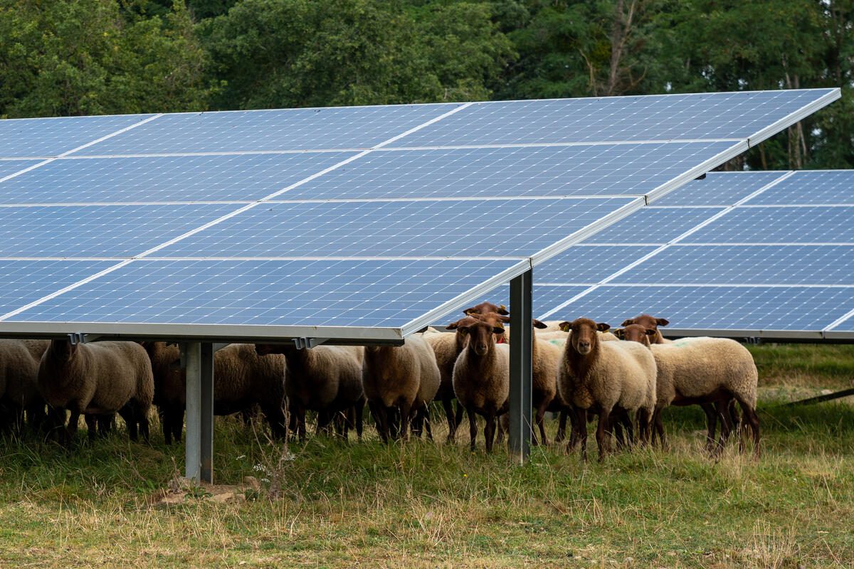 découvrez les enjeux cruciaux liés aux énergies renouvelables, leur impact sur l'environnement, l'économie et la transition énergétique. apprenez comment ces sources d'énergie durables peuvent répondre aux défis actuels et futurs.