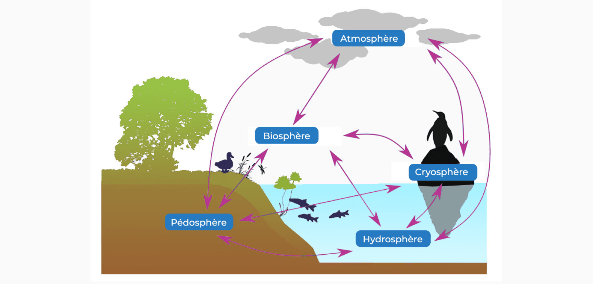découvrez comment l'ensoleillement peut transformer votre espace de vie. apprenez à maximiser la lumière naturelle pour améliorer votre bien-être et valoriser votre habitat grâce à des astuces simples et innovantes.