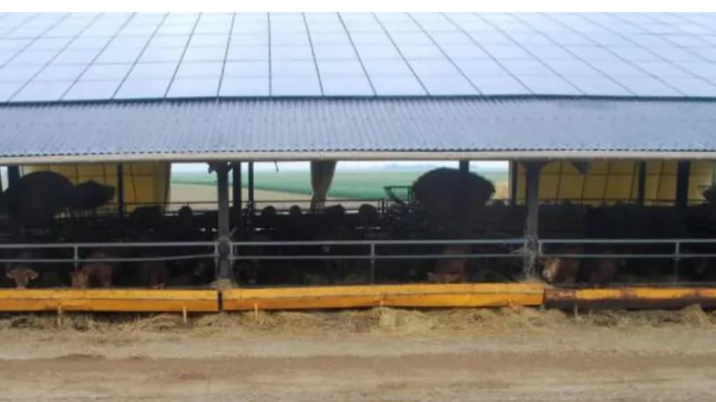 découvrez les erreurs courantes à éviter lors de la construction ou de la gestion de votre hangar agricole. optimisez vos investissements et assurez-vous de la durabilité de votre infrastructure grâce à nos conseils pratiques.
