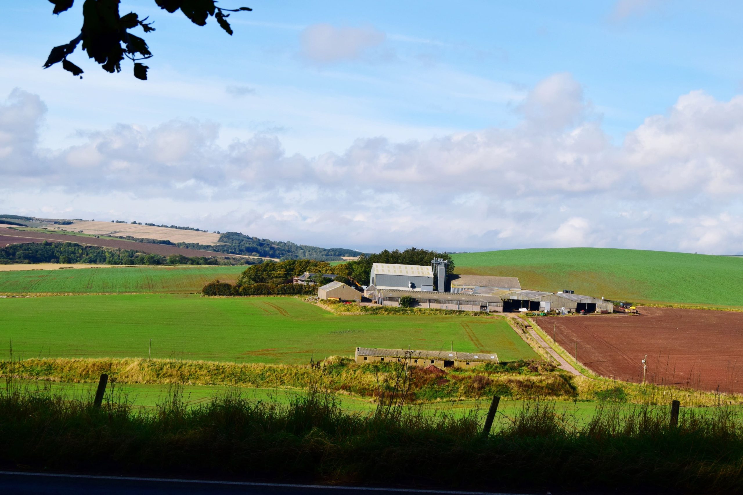 découvrez notre service d'évaluation pour bâtiments agricoles. nous offrons une analyse approfondie pour garantir la valeur de vos infrastructures et optimiser vos investissements. contactez-nous pour un devis personnalisé.