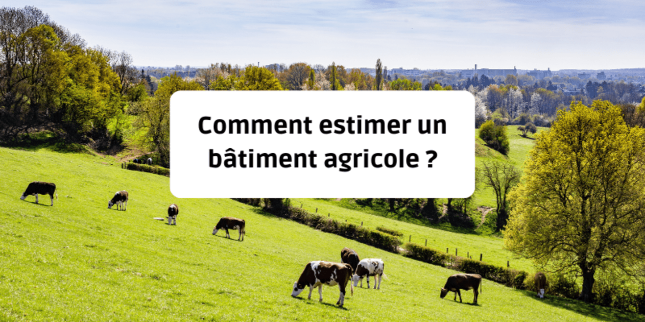 découvrez notre service d'évaluation de bâtiments agricoles, qui vous aide à déterminer la valeur exacte de vos infrastructures. que ce soit pour une vente, une acquisition ou simplement pour faire le point sur vos actifs, nos experts vous fournissent une analyse complète et précise, adaptée aux spécificités du secteur agricole.