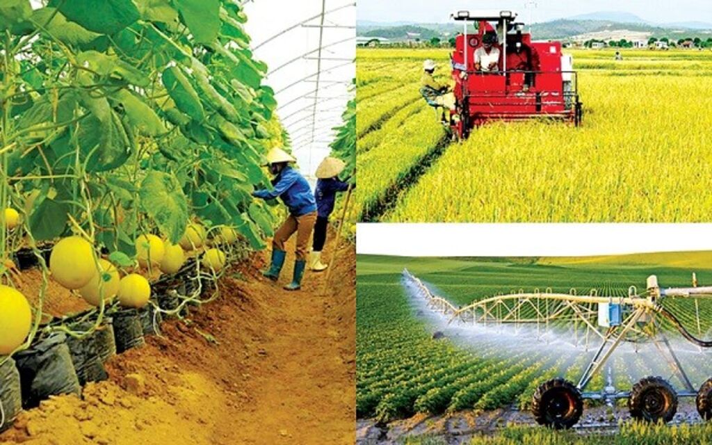 découvrez comment l'exploitation agricole durable allie innovation et respect de l'environnement pour produire des aliments de qualité tout en préservant les ressources naturelles. plongez dans les pratiques agricoles responsables et les solutions pour un avenir plus vert.