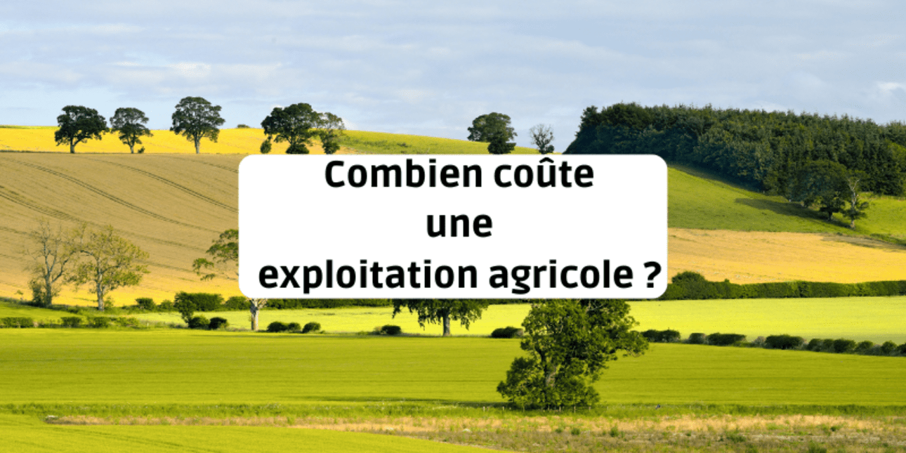découvrez comment l'exploitation agricole durable allie respect de l'environnement et rentabilité économique. apprenez les pratiques innovantes pour préserver les ressources naturelles tout en assurant une production alimentaire responsable et durable.