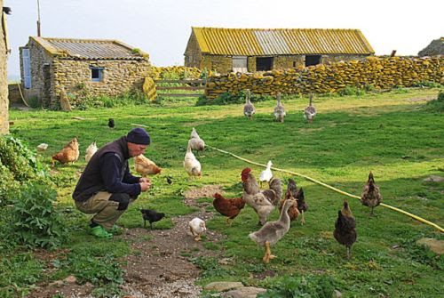 découvrez le concept innovant de la ferme autonome, où l'agriculture durable et les technologies modernes s'unissent pour créer un écosystème autonome. apprenez comment ces fermes contribuent à une production alimentaire responsable tout en réduisant l'impact environnemental.