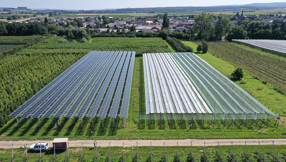 découvrez une ferme durable photovoltaïque où l'innovation rencontre l'écologie. profitez d'une production d'énergie renouvelable tout en préservant l'environnement, grâce à des pratiques agricoles respectueuses de la nature.