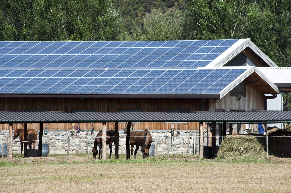 découvrez les solutions de financement pour la construction de hangars photovoltaïques. maximisez votre investissement tout en contribuant à une énergie durable et rentable.