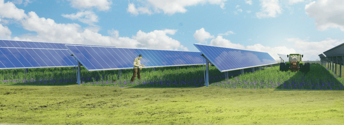 découvrez les solutions de financement photovoltaïque adaptées au secteur agricole. optimisez votre production d'énergie renouvelable et réduisez vos coûts d'exploitation grâce à des aides et des prêts spécifiques. investissez dans l'avenir de votre exploitation tout en préservant l'environnement.