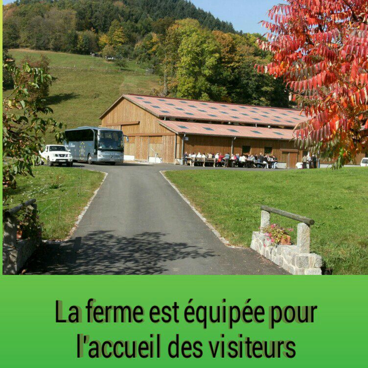 découvrez comment optimiser la gestion de votre ferme solaire avec des solutions innovantes et durables. maximisez votre production d'énergie renouvelable tout en réduisant vos coûts d'exploitation.