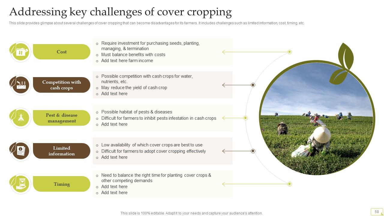 découvrez notre guide complet sur l'agriculture durable, qui vous accompagne dans la mise en place de pratiques respectueuses de l'environnement et économiquement viables. apprenez à cultiver sainement, tout en préservant les ressources naturelles pour les générations futures.