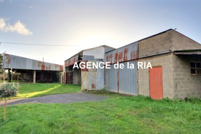 découvrez nos hangars agricoles de 200 m² à un prix compétitif. idéaux pour le stockage de matériel, d'équipements ou de récoltes, nos hangars allient robustesse et fonctionnalité pour répondre aux besoins des agriculteurs. contactez-nous pour plus d'informations sur nos offres et solutions sur mesure.