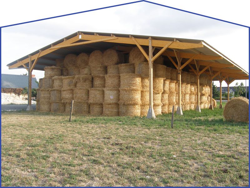 découvrez notre hangar agricole écoresponsable, conçu pour allier performance et respect de l'environnement. optimisez votre espace de stockage tout en réduisant votre empreinte écologique grâce à des matériaux durables et des solutions innovantes adaptées aux besoins des agriculteurs modernes.