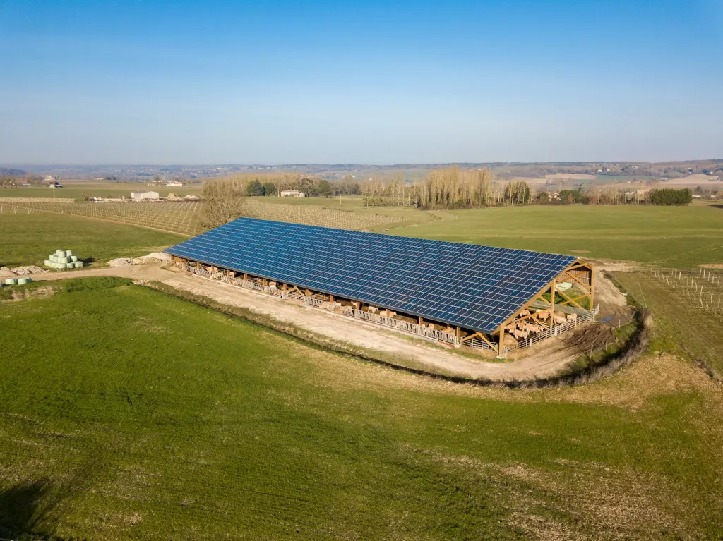 découvrez notre offre de hangar agricole gratuit équipé de panneaux photovoltaïques ! profitez d'une solution durable et économique pour abriter vos activités agricoles tout en bénéficiant d'une énergie verte. informez-vous dès maintenant sur les conditions et les avantages d'installer un hangar optimisé pour la production d'énergie renouvelable.