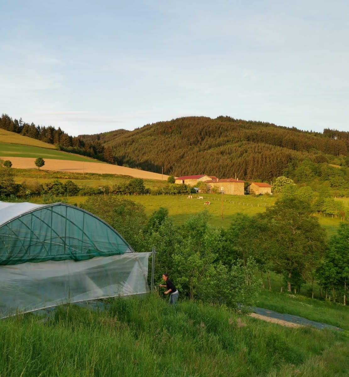 découvrez le hangar agricole oasis, un espace idéal pour le stockage de vos équipements et récoltes. profitez d'une construction durable, adaptée aux besoins des agriculteurs, avec des solutions personnalisables pour optimiser votre production.