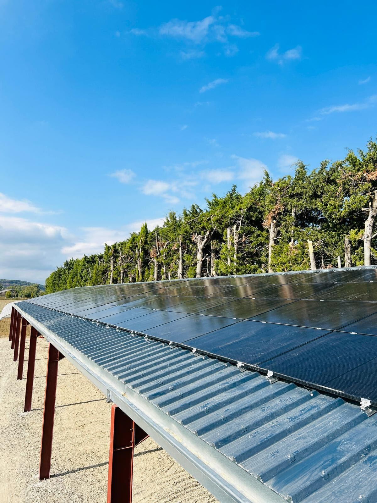 découvrez comment l'installation de panneaux solaires sur votre hangar agricole peut optimiser vos coûts énergétiques tout en favorisant une agriculture durable. profitez d'une source d'énergie renouvelable et contribuez à la préservation de l'environnement.