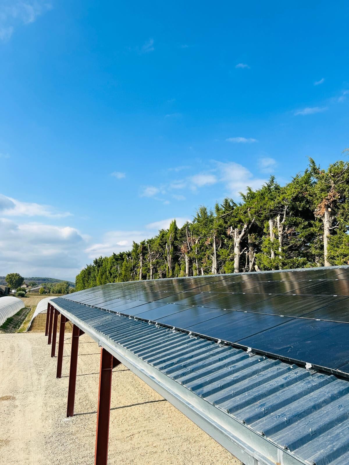 découvrez comment un hangar agricole photovoltaïque peut transformer votre exploitation en produisant une énergie renouvelable, réduisant vos coûts d'électricité et contribuant à un avenir durable. optimisez vos espaces tout en récoltant les bénéfices de l'énergie solaire.