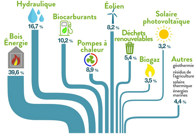 découvrez le hangar bioénergétique, un espace innovant dédié à l'exploitation des énergies renouvelables. découvrez comment cet écosystème durable contribue à une gestion énergétique optimale et à la préservation de l'environnement.