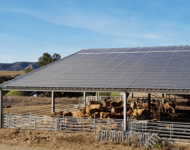 découvrez notre hangar photovoltaïque de 714m², un espace polyvalent et durable qui optimise la production d'énergie solaire tout en offrant des solutions innovantes pour le stockage et la gestion de vos ressources.