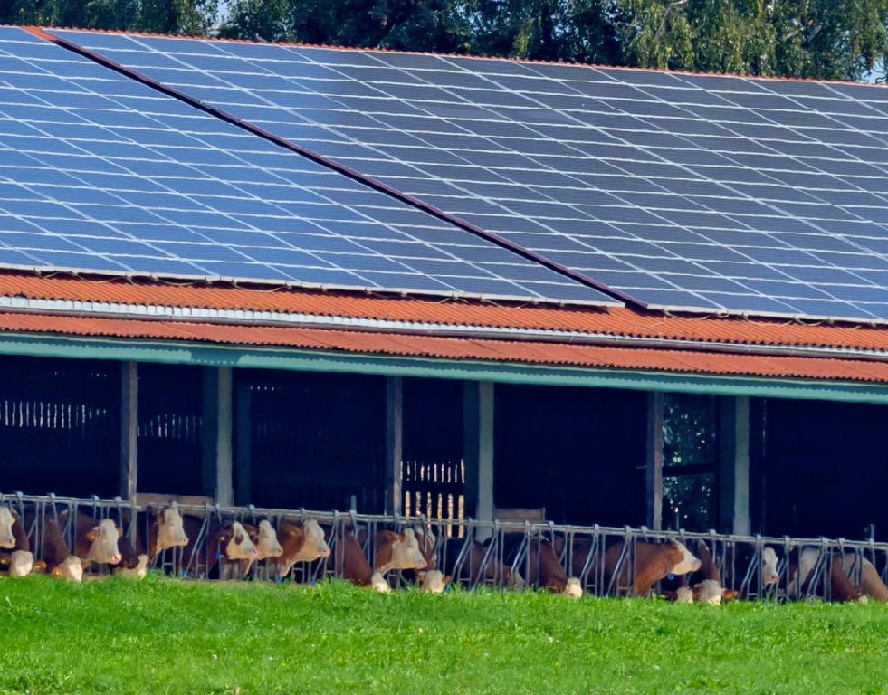 découvrez nos hangars monopente photovoltaïques, conçus pour maximiser la production d'énergie solaire tout en offrant un espace de stockage optimal. idéaux pour les entreprises soucieuses de l'environnement, ces structures allient efficacité énergétique et design moderne.