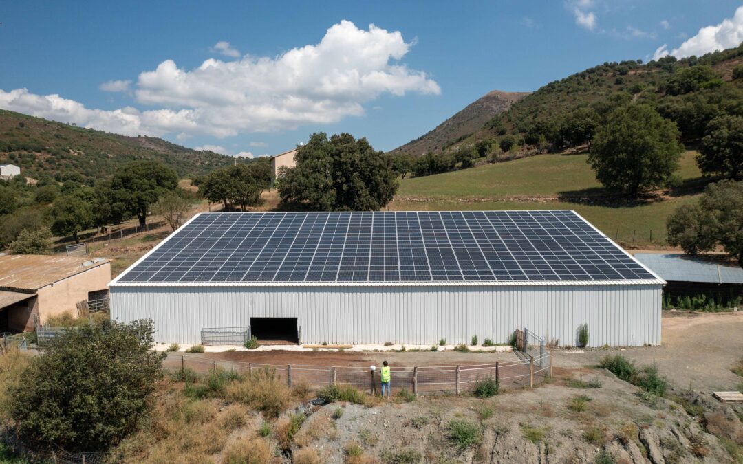découvrez les hangars photovoltaïques en 2025, une solution innovante et durable pour optimiser l'espace de stockage tout en produisant de l'énergie verte. informez-vous sur les avantages économiques et environnementaux de cette technologie moderne.