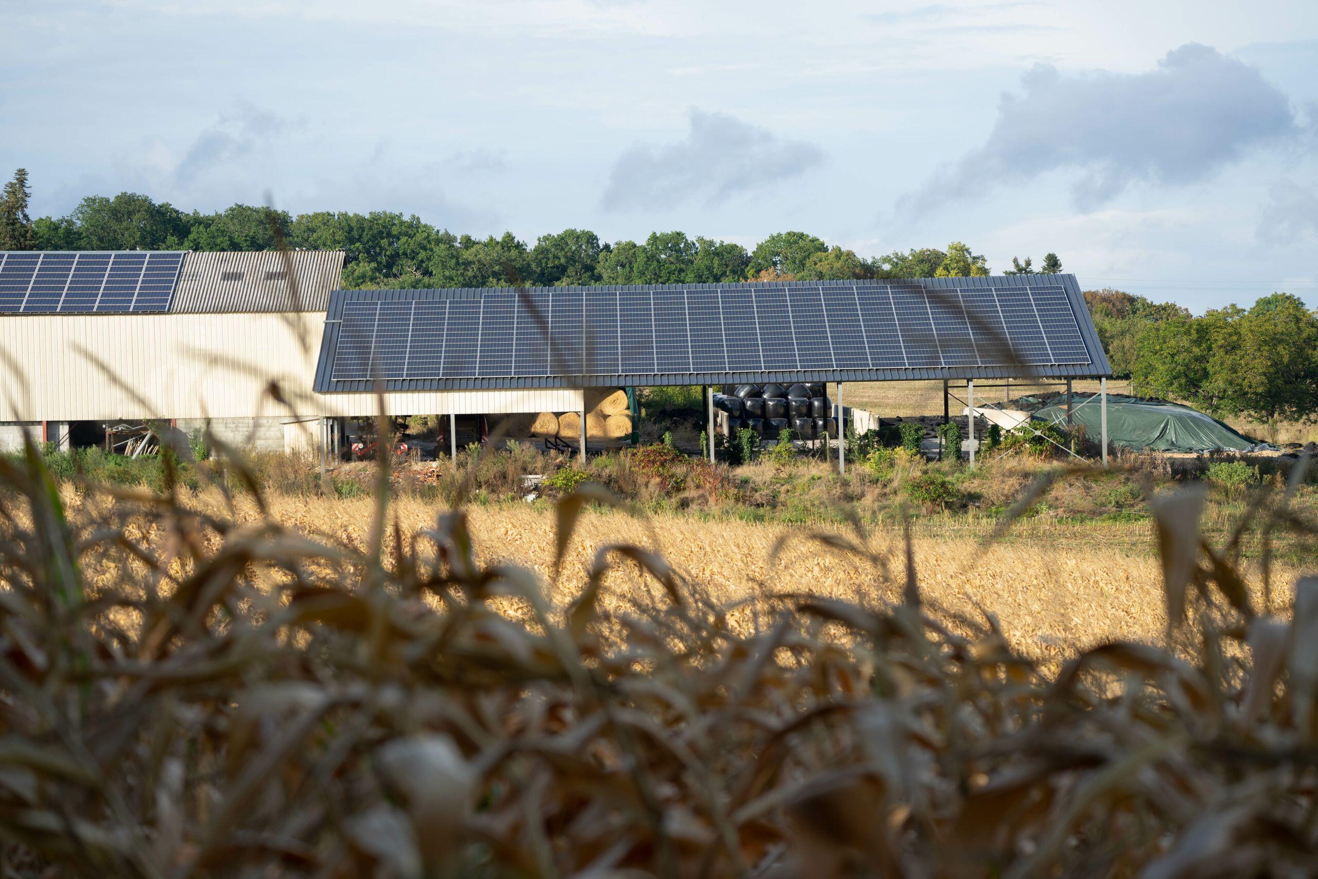 découvrez les avantages des hangars photovoltaïques agricoles : une solution innovante pour produire de l'énergie renouvelable tout en protégeant vos ressources agricoles. optez pour une installation durable et économique qui optimise votre espace de travail.