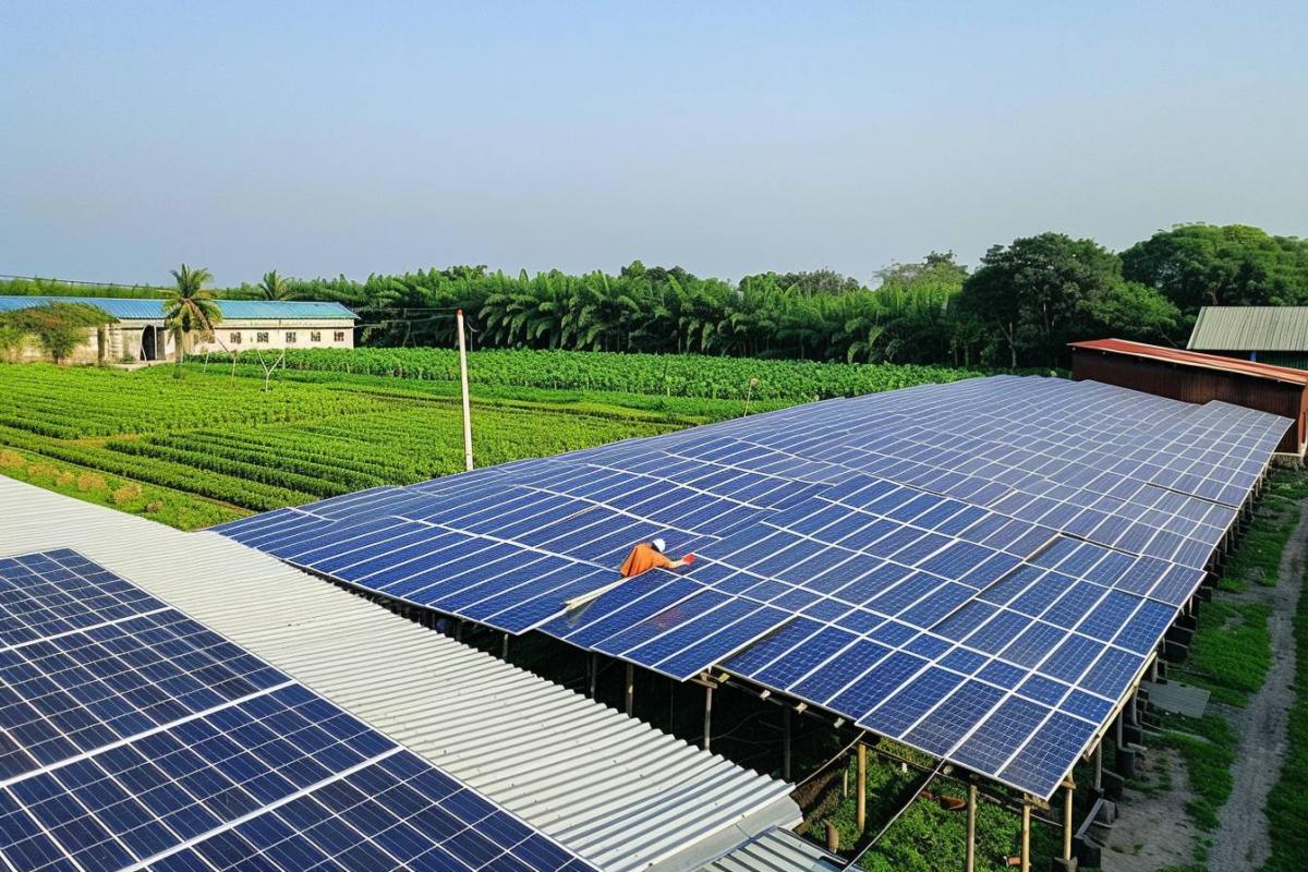 découvrez les hangars photovoltaïques arkolia, une solution innovante alliant efficacité énergétique et optimisation de l'espace. transformez vos infrastructures tout en réduisant votre empreinte carbone grâce à une technologie solaire de pointe.