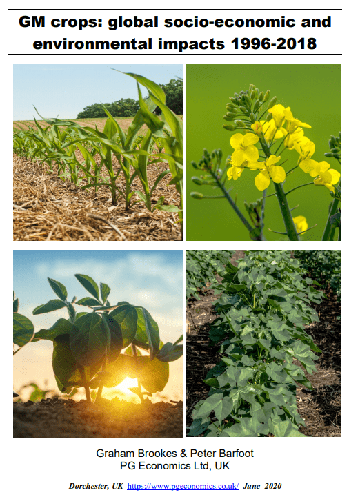 découvrez l'impact économique de l'agriculture écologique sur notre société. analyse des bénéfices financiers, des opportunités d'emploi et des contributions à la durabilité environnementale dans le secteur agricole.
