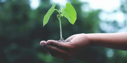 découvrez comment vos choix quotidiens influencent l'environnement. explorez des actions simples pour réduire votre empreinte écologique et contribuer à un avenir durable.