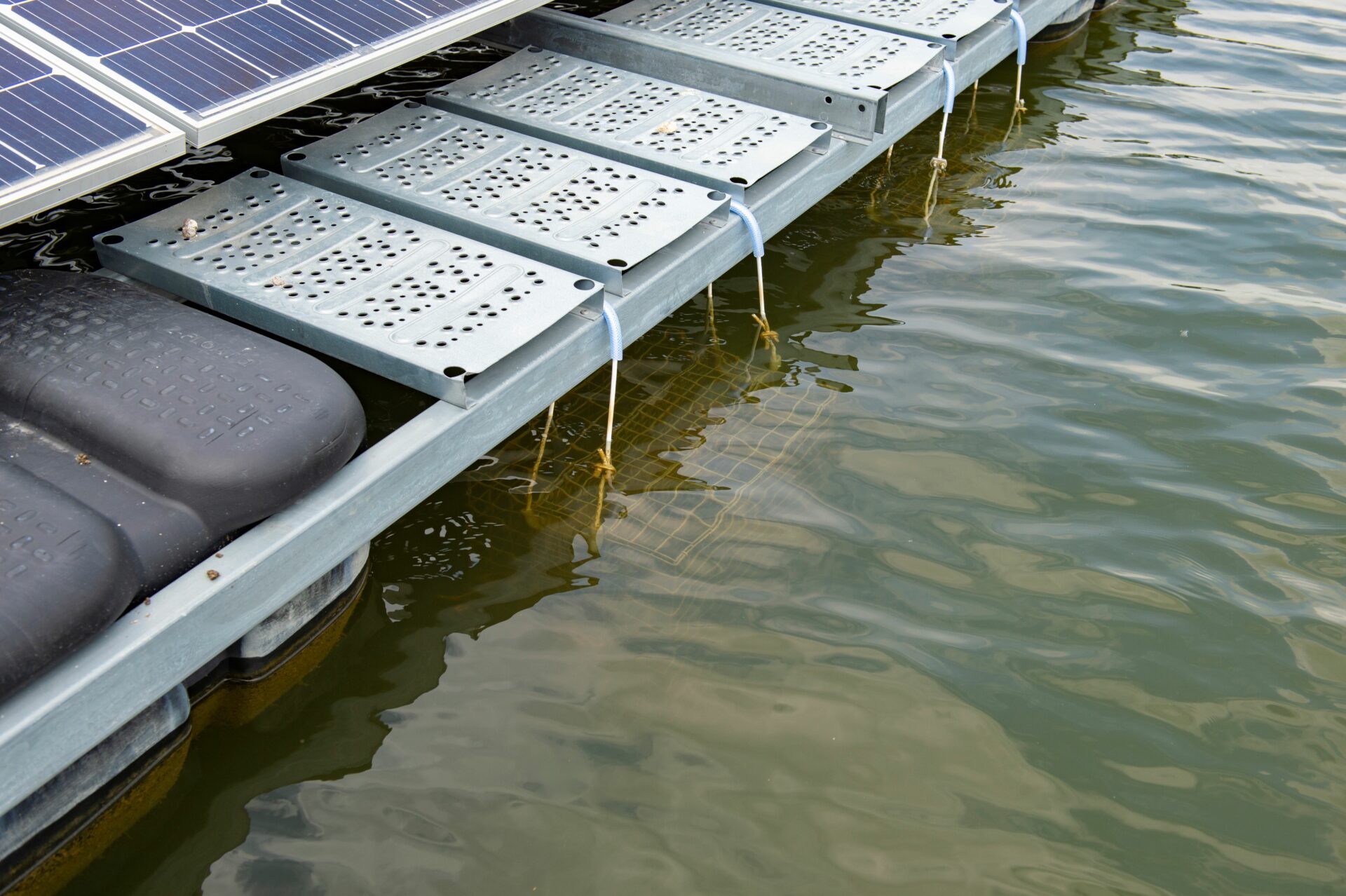 découvrez comment les installations photovoltaïques influencent la biodiversité, entre opportunités écologiques et enjeux environnementaux. explorez les conséquences de l'énergie solaire sur les écosystèmes et les stratégies pour concilier production d'énergie renouvelable et préservation de la nature.