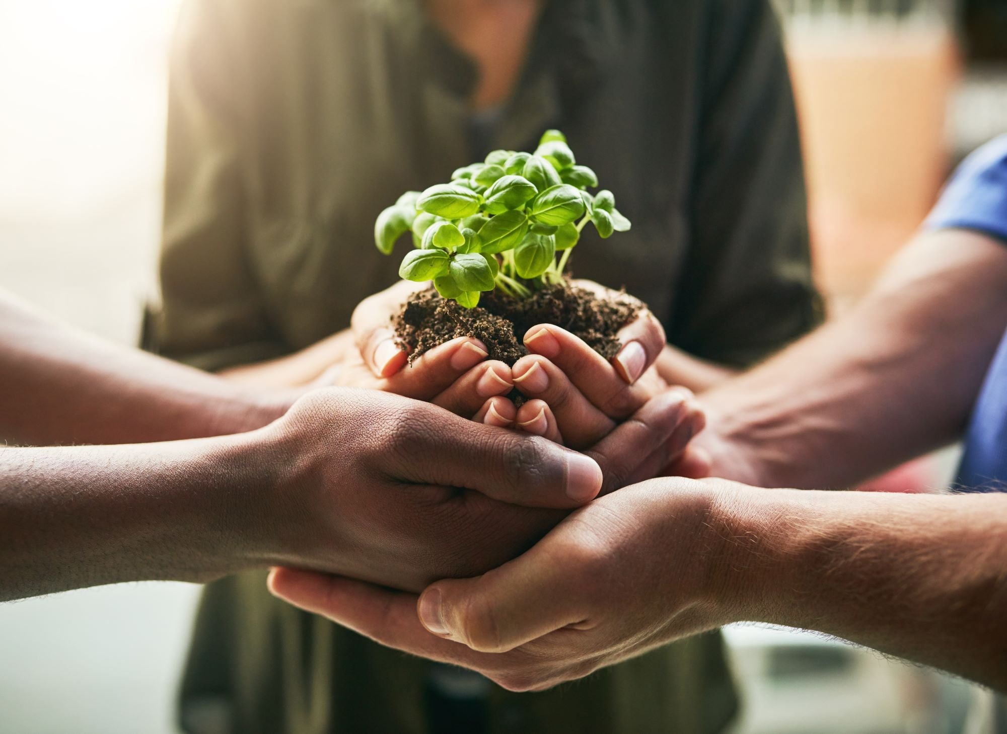 découvrez comment l'impact social transforme les communautés, favorise le bien-être et stimule le changement positif. explorez les initiatives qui créent un avenir durable et inclusif pour tous.