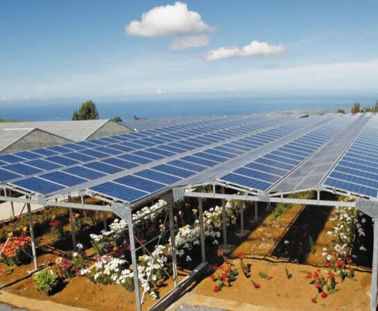 découvrez comment l'impact solaire influence les cultures agricoles, en analysant les effets de l'ensoleillement sur la croissance des plantes, la qualité des récoltes et les techniques d'adaptation des agriculteurs face aux variations climatiques.