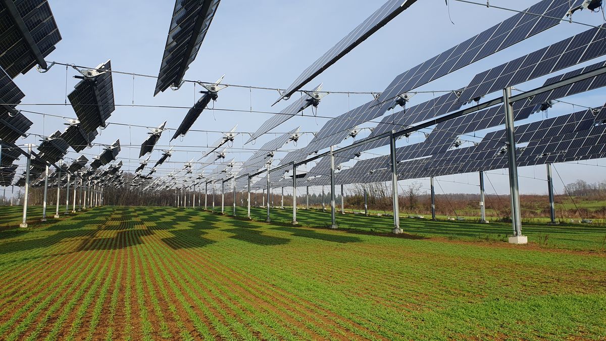 découvrez comment l'impact solaire influence les cultures, affectant leur croissance, leur rendement et leurs besoins en irrigation. explorez les interactions entre la lumière du soleil et les différents types de plantes pour optimiser la production agricole.