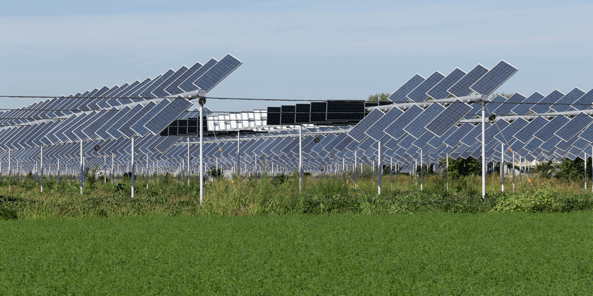 découvrez comment l'impact solaire influence la croissance et le développement des cultures. explorez les effets de l'ensoleillement, de la température et des variations climatiques sur les rendements agricoles. apprenez à optimiser l'utilisation de la lumière solaire pour améliorer la productivité de vos cultures.