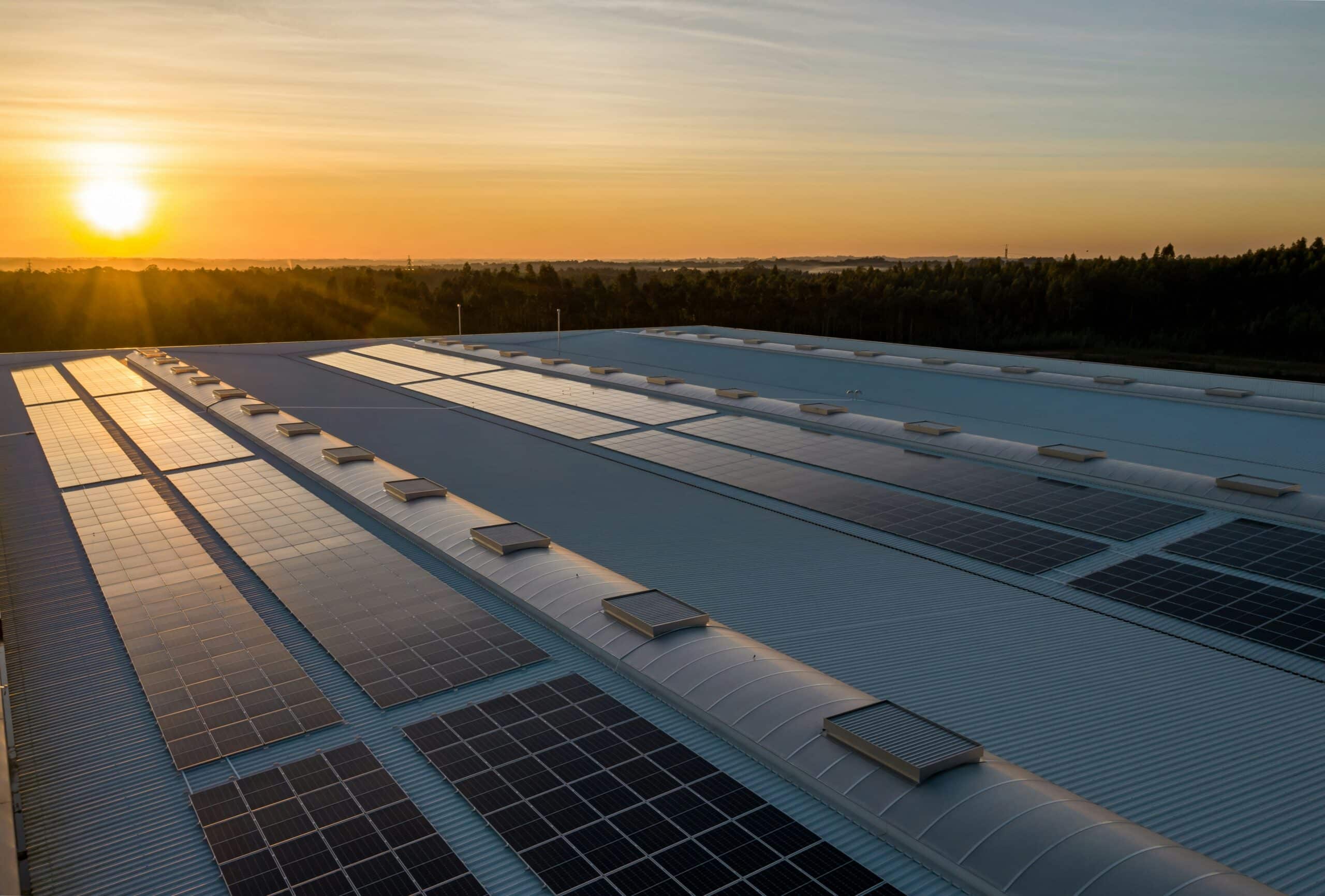 découvrez les impacts environnementaux des hangars photovoltaïques, un atout pour la production d'énergie renouvelable. cette analyse met en lumière les bénéfices écologiques et les défis associés à l'installation de panneaux solaires sur les infrastructures agricoles et industrielles.