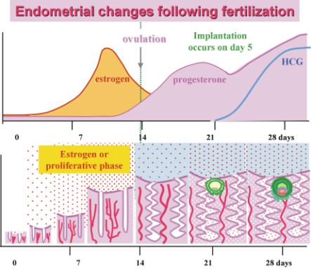 découvrez les enjeux et implications de l'implantation secrète, une stratégie souvent méconnue qui allie mystère et innovation. plongez dans un univers caché au cœur des décisions stratégiques.