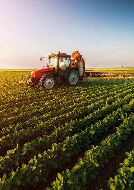 découvrez les principes et les pratiques de l'infrastructure agricole durable, visant à préserver l'environnement tout en améliorant la productivité. apprenez comment ces solutions innovantes permettent de nourrir une population croissante tout en respectant les ressources naturelles.