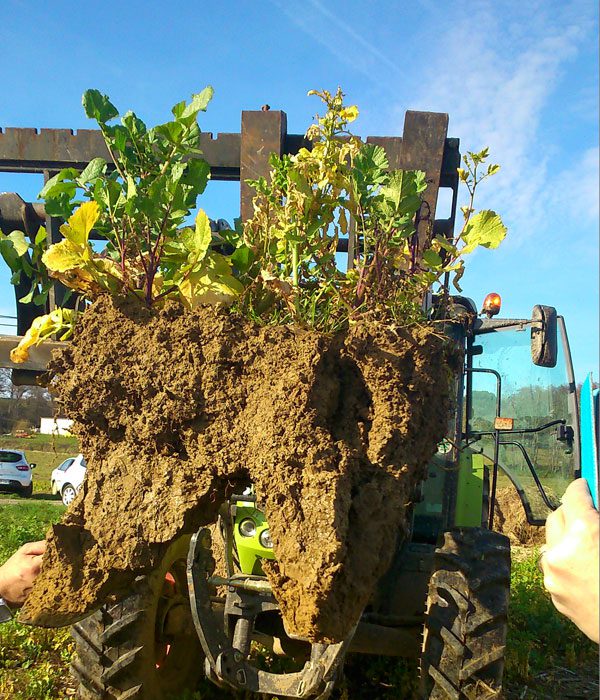 découvrez l'importance de l'infrastructure agricole durable pour garantir une production alimentaire responsable et respectueuse de l'environnement. explorez les techniques innovantes et les pratiques durables qui préservent les ressources naturelles tout en favorisant une agriculture prospère.