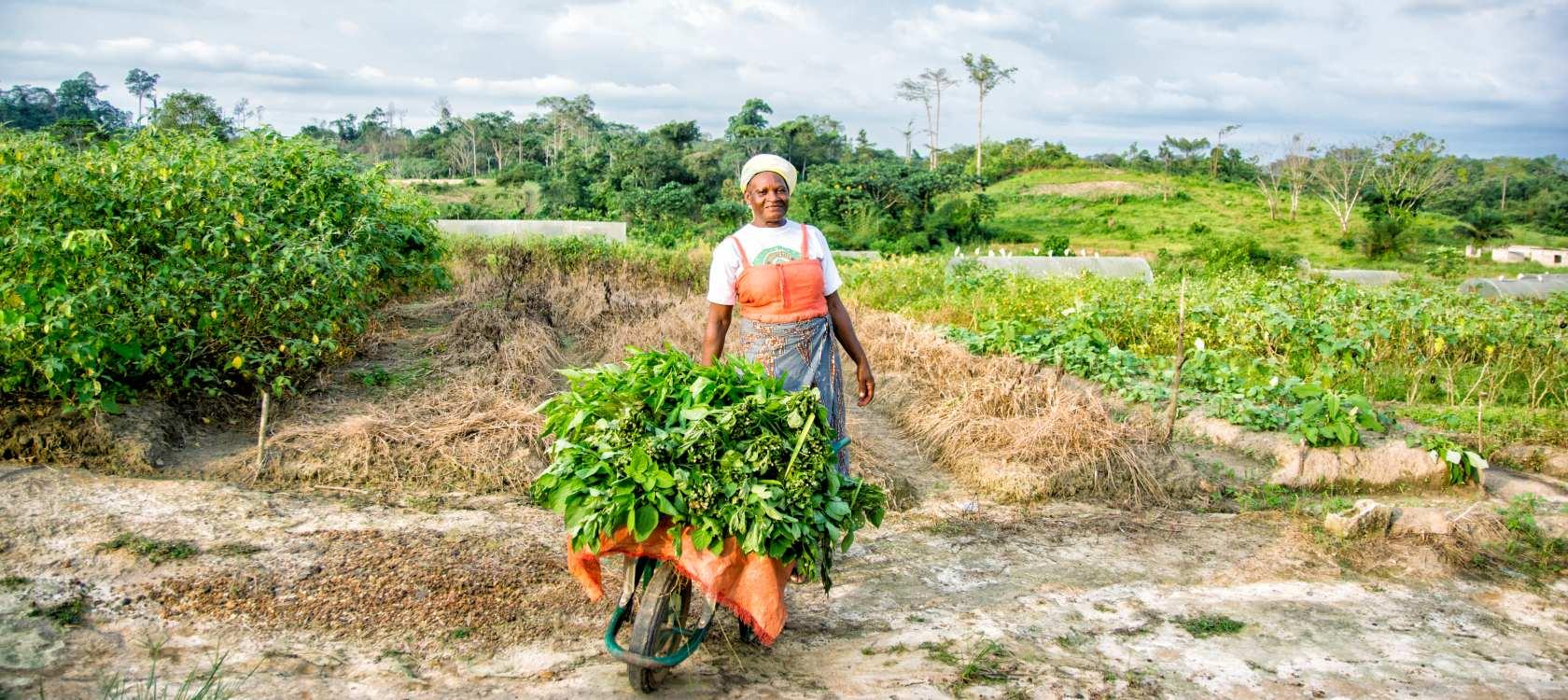 découvrez les solutions d'infrastructure agricole durable qui allient innovation et préservation de l'environnement. optimisez votre production tout en respectant les écosystèmes grâce à des pratiques durables et modernes.