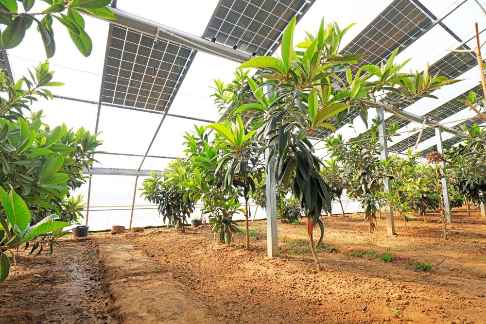 découvrez comment les infrastructures agricoles solaires transforment l'agriculture durable en france. apprenez les avantages de l'énergie solaire pour améliorer la productivité agricole, réduire les coûts d'exploitation et contribuer à la préservation de l'environnement.