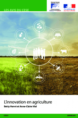 découvrez les dernières avancées en innovation agricole, transformant les méthodes de culture et améliorant la durabilité. explorez des technologies révolutionnaires qui optimisent la production tout en préservant l'environnement et en répondant aux défis alimentaires mondiaux.