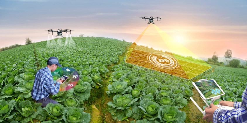 découvrez les dernières tendances et avancées en matière d'innovation agricole, qui transforment notre approche de l'agriculture. explorez des techniques durables, des technologies de pointe et des pratiques agricoles modernes pour améliorer les rendements tout en préservant l'environnement.