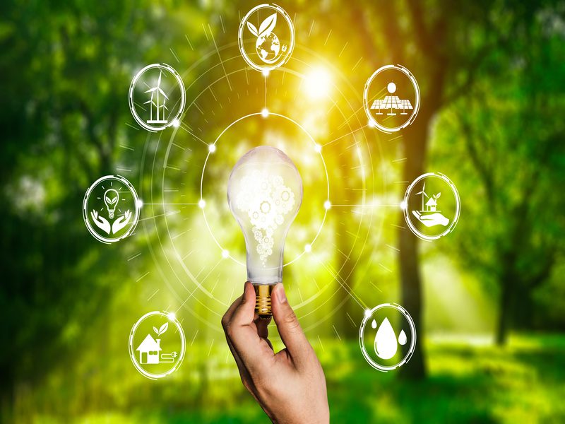 découvrez comment l'innovation transforme le secteur des énergies durables, favorisant des solutions écologiques et efficaces pour un avenir plus vert. explorez les technologies et initiatives qui redéfinissent notre rapport à l'énergie.